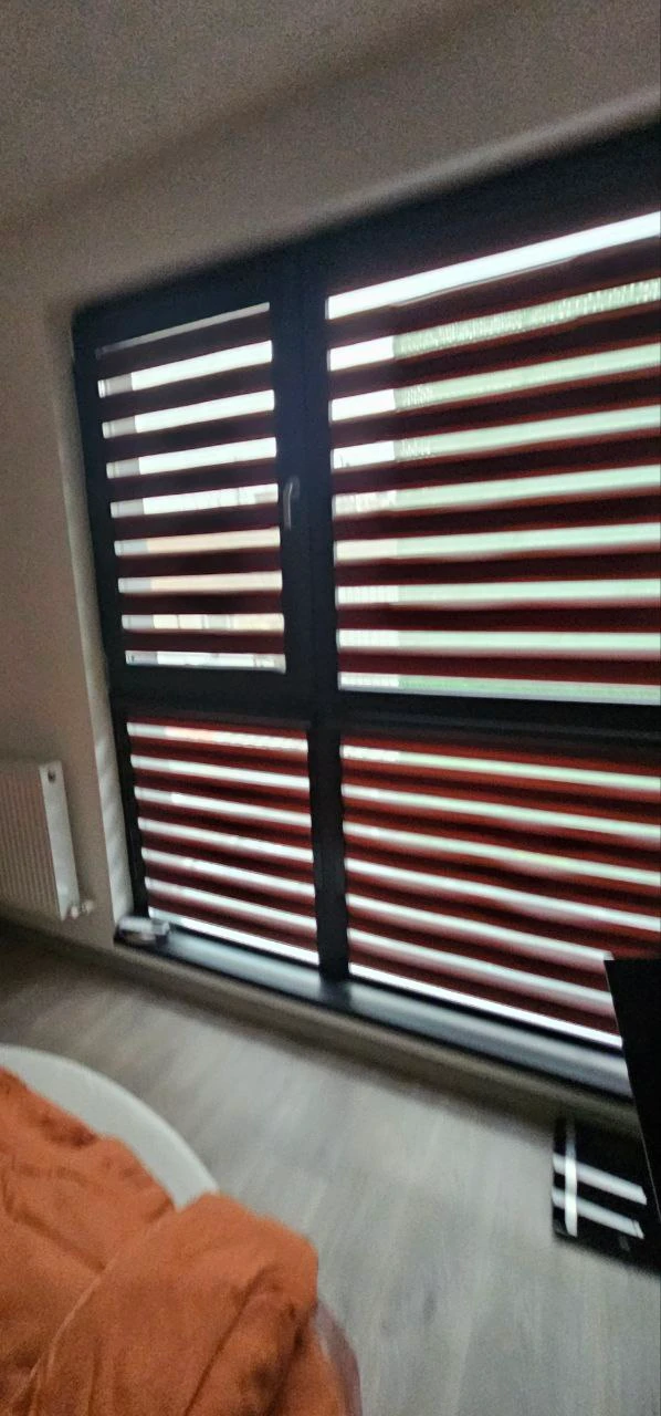 Rolete tip zebra