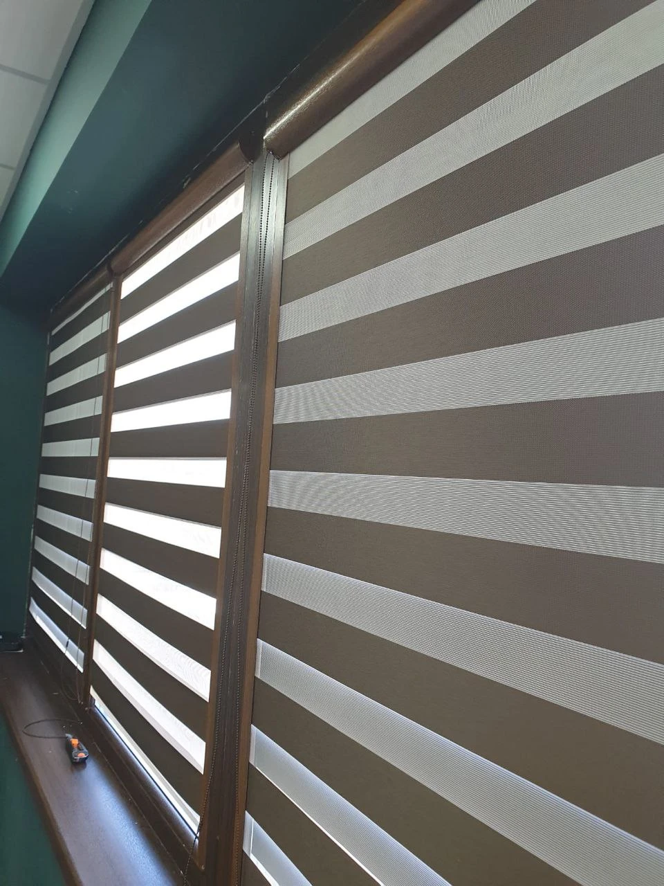 Rolete tip zebra