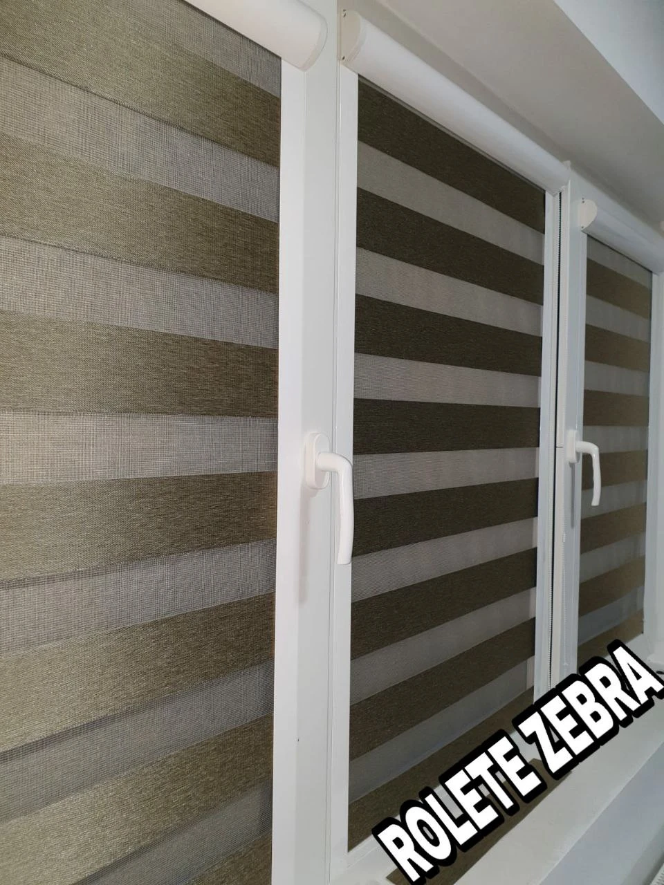 Rolete tip zebra